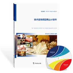 旗訊網(wǎng)技術(shù)咨詢項目商業(yè)計劃書