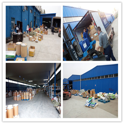 非那雄胺原料藥處理服務(wù)的重要性與實(shí)踐